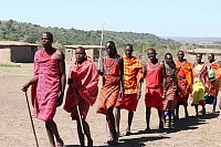 Masai Mara tour