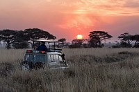 Tsavo national Park game drive